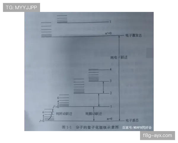 萨卡从新星到顶级边锋的数据跃迁分析 萨卡从新星到顶级边锋的数据跃迁分析